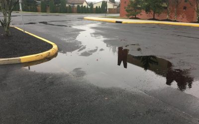 Why Does Water Pool on Your Asphalt Driveway? Common Causes and Solutions